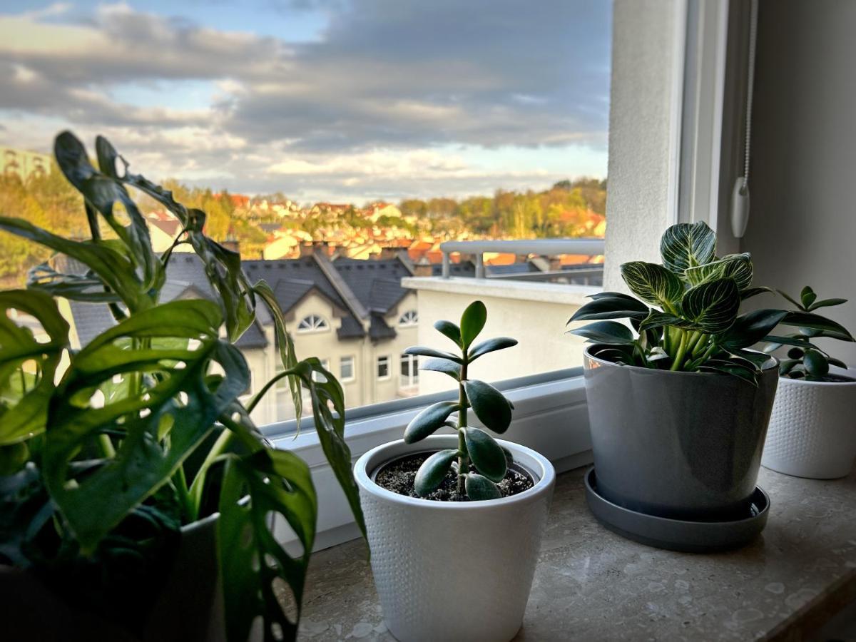 Cozy Hill Modern Box Apartment Gdynia Zewnętrze zdjęcie